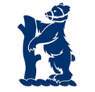 Warwickshire County Cricket Club logo