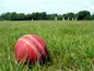 Durham earn narrow win over Leics