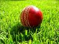 Zimbabwe in New Zealand - scorecards